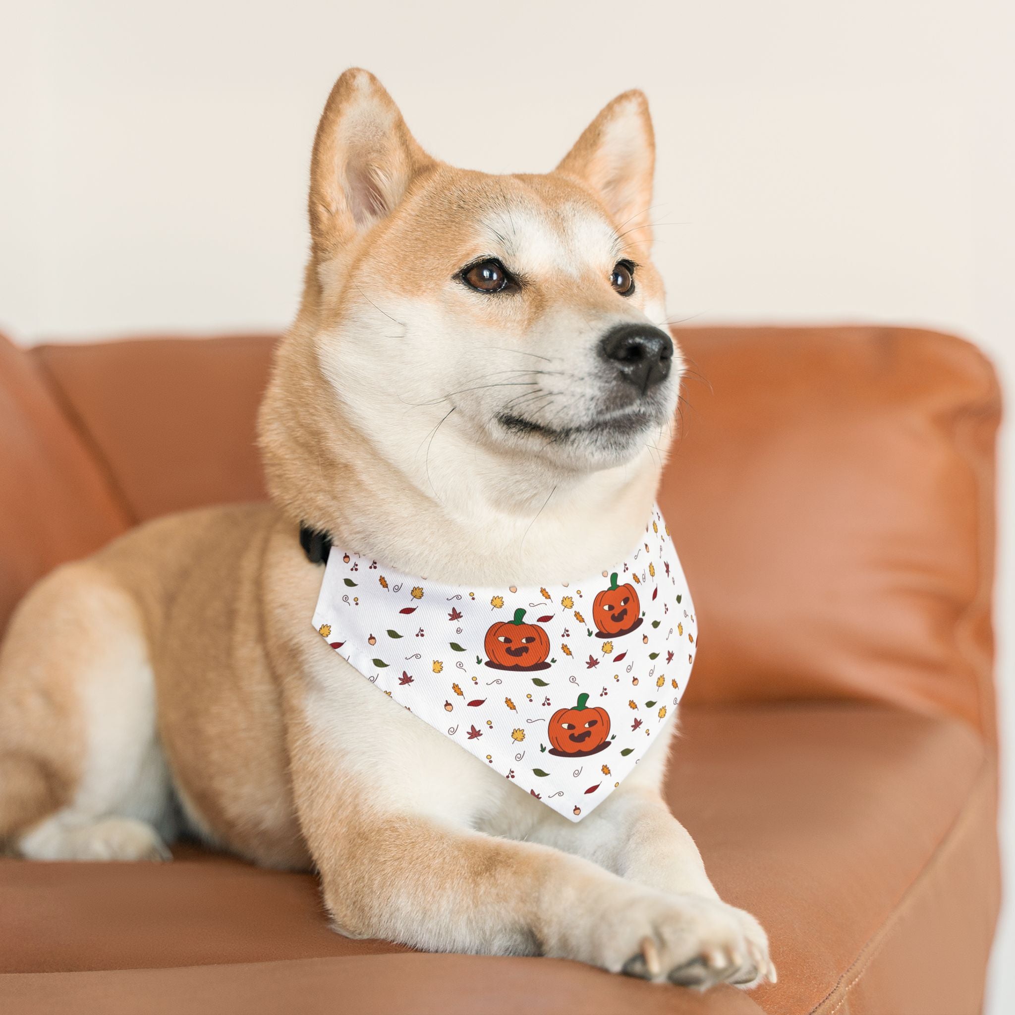 Halloween Dog Bandana - Pumpk'n