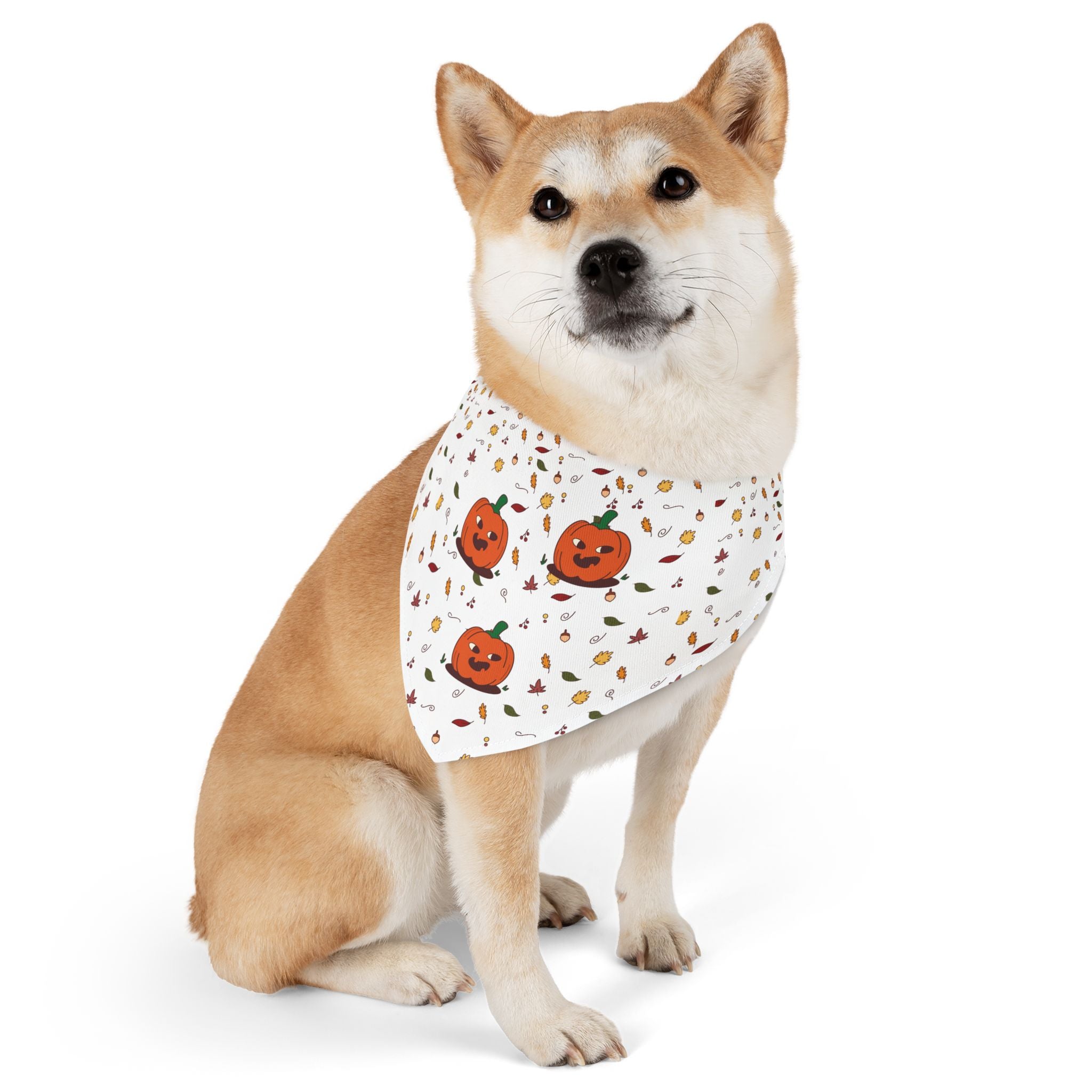 Halloween Dog Bandana - Pumpk'n