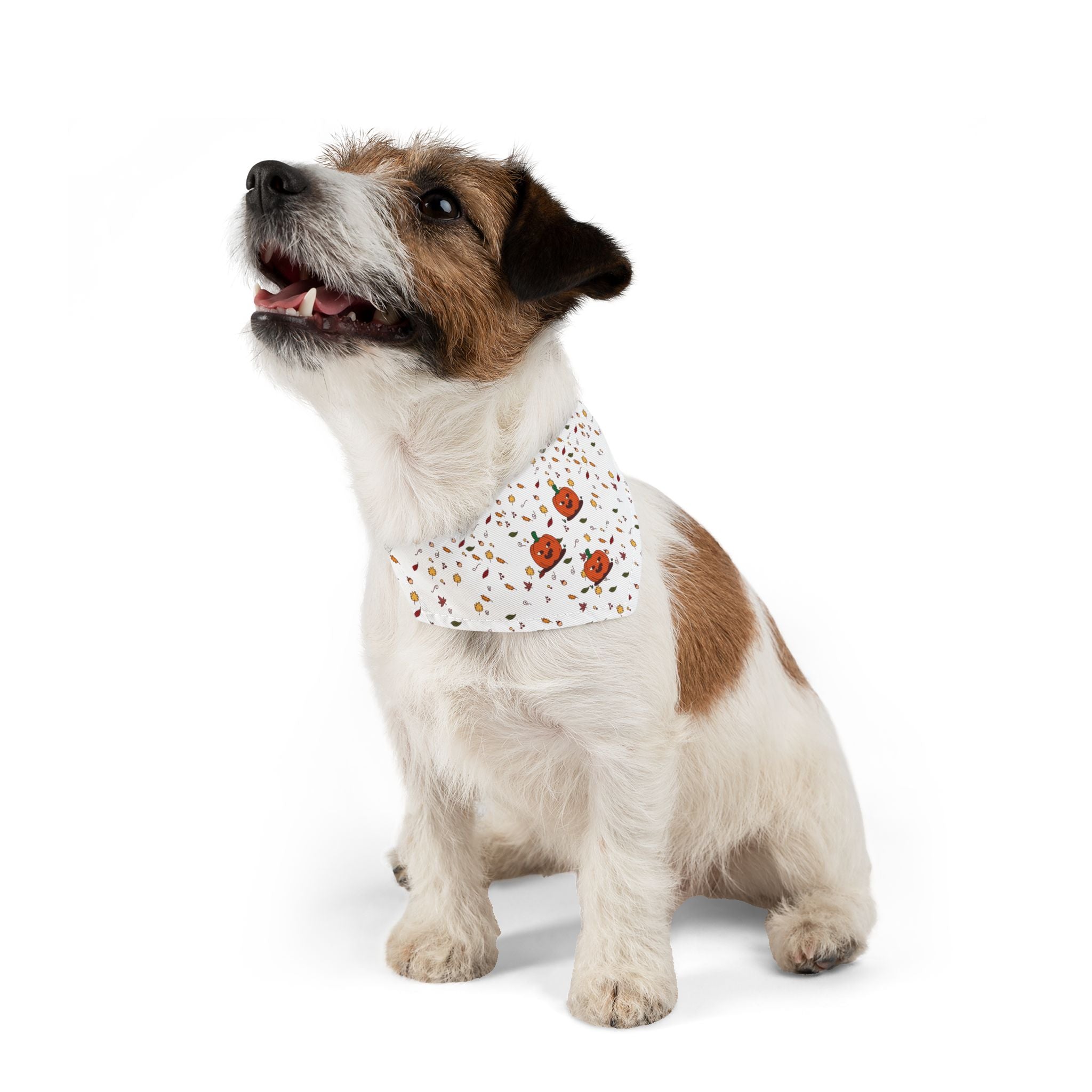 Halloween Dog Bandana - Pumpk'n